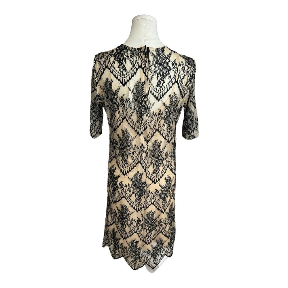 CAARA Nordstrom Scallopd Lace Shift Dress Black Beige Holiday Party Wedding Sz M - Picture 7 of 14
